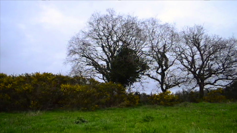 Prairie - 37_libérez les couleurs